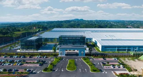 重慶 打造綜合金融服務(wù)場景 支持食品及農(nóng)產(chǎn)品加工產(chǎn)業(yè)高質(zhì)量發(fā)展