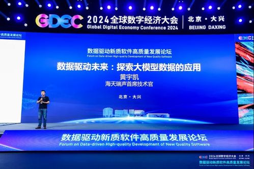 海天瑞聲cto黃宇凱出席全球數字經濟大會 數據驅動新質軟件高質量發展論壇 并發表演講