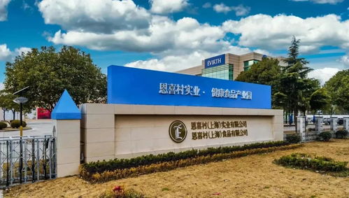 稅收收入40.03億元 金山鎮(zhèn)著力推進(jìn)創(chuàng)新轉(zhuǎn)型與松原軟件開(kāi)發(fā)